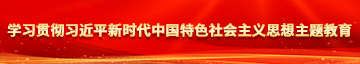 大黑吊操逼美女学习贯彻习近平新时代中国特色社会主义思想主题教育